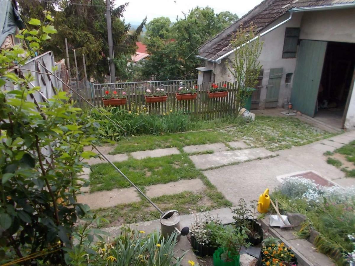 U Babicky A Jeji Psi Smecky Guest House Veselicko Exterior photo